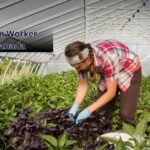 General Farm Worker Jobs in Canada