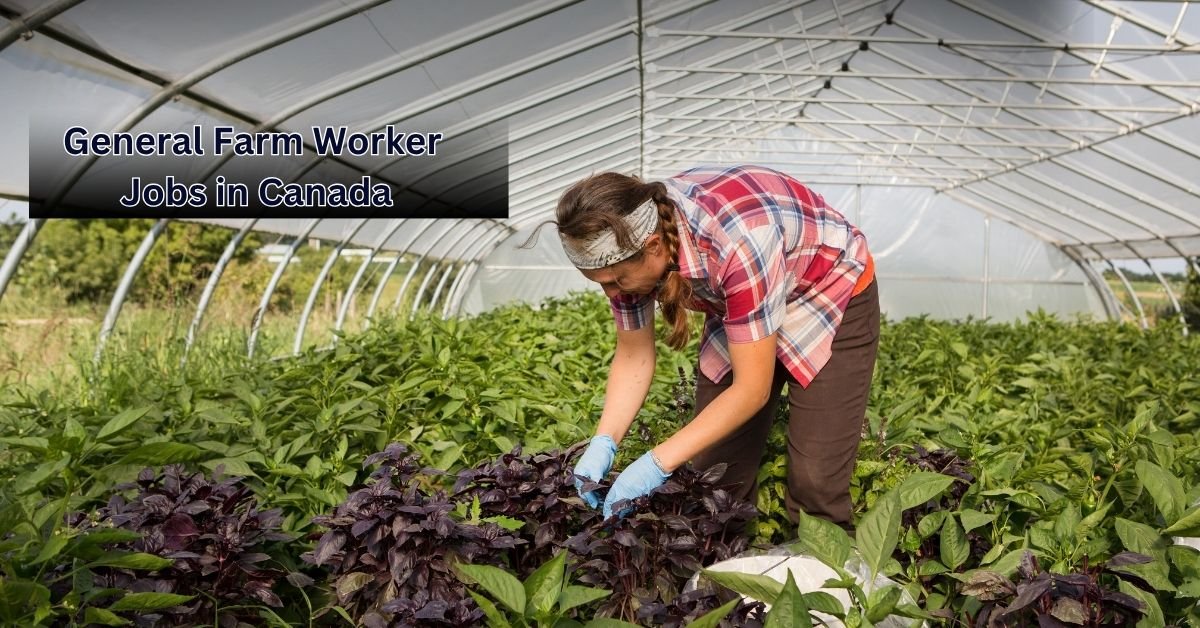 General Farm Worker Jobs in Canada