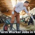 Dairy Farm Worker Jobs in Canada